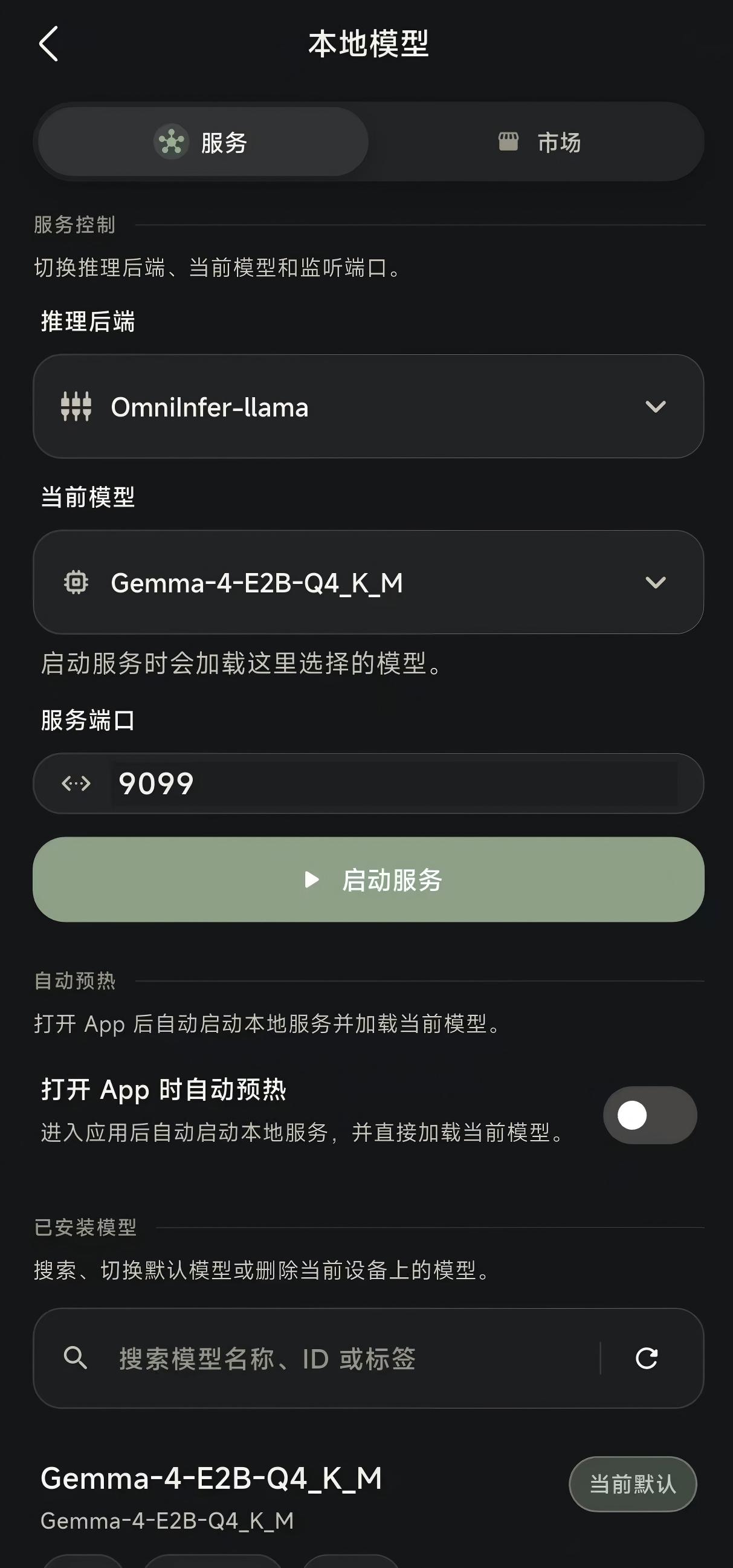 本地模型